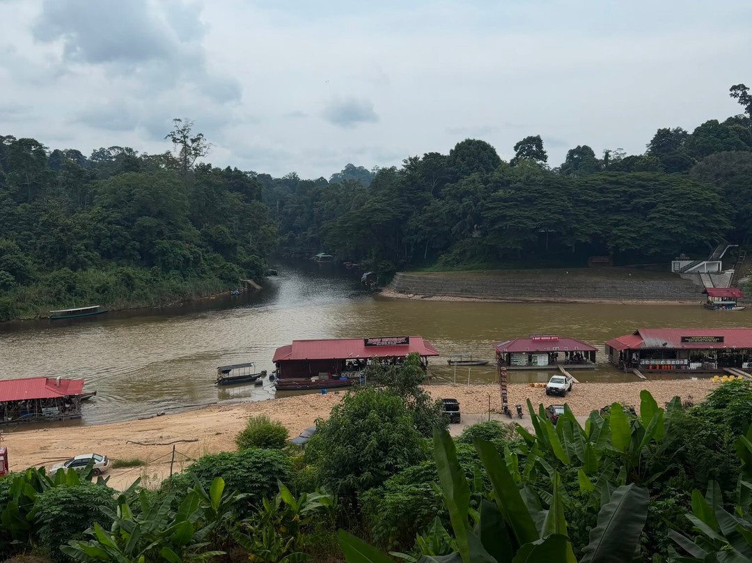 Taman Negara National Park-彭亨必去景点