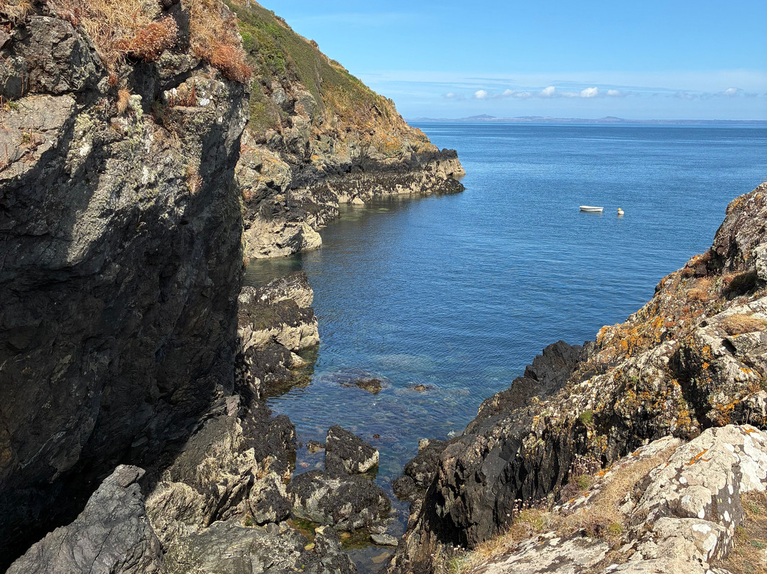 Pembrokeshire Islands Boat Trips-Skomer Island必去景点