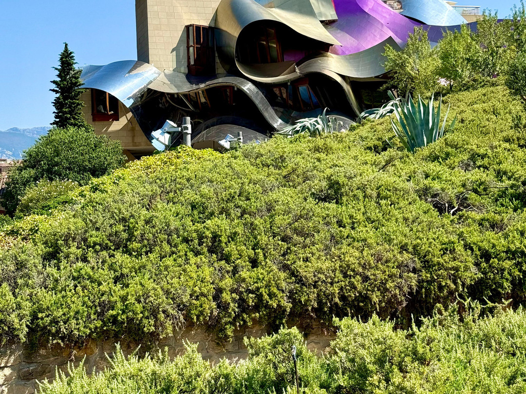Bodegas Marques de Riscal-Elciego必去景点