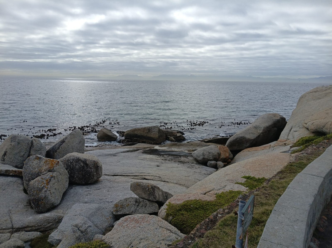 Boulders Beach Penguin Colony-西门镇必去景点