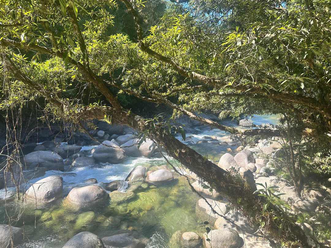 Mossman Gorge Cultural Centre-丹特里区必去景点
