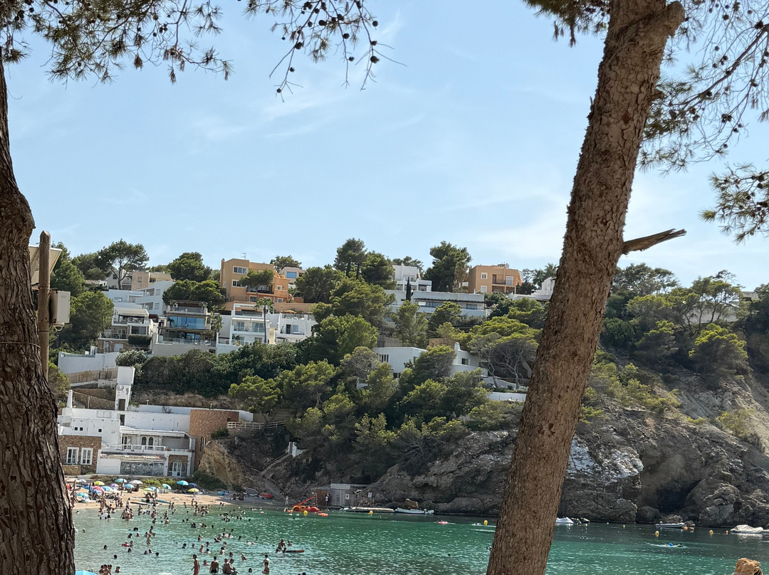 Cala Vadella-Cala Vadella必去景点