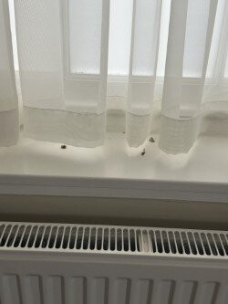 戈尔兹伯勒豪尔酒店主图