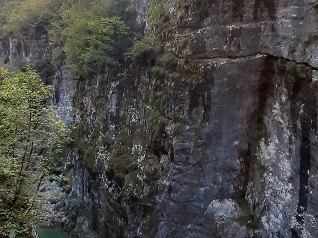 Ponte Tibetano-Barcis必去景点