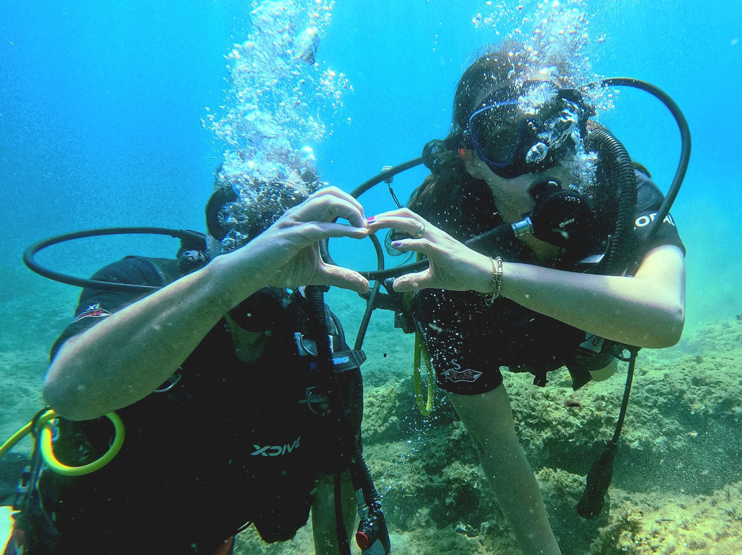 Triton Scuba Diving Centre Halkidiki-Paliouri必去景点
