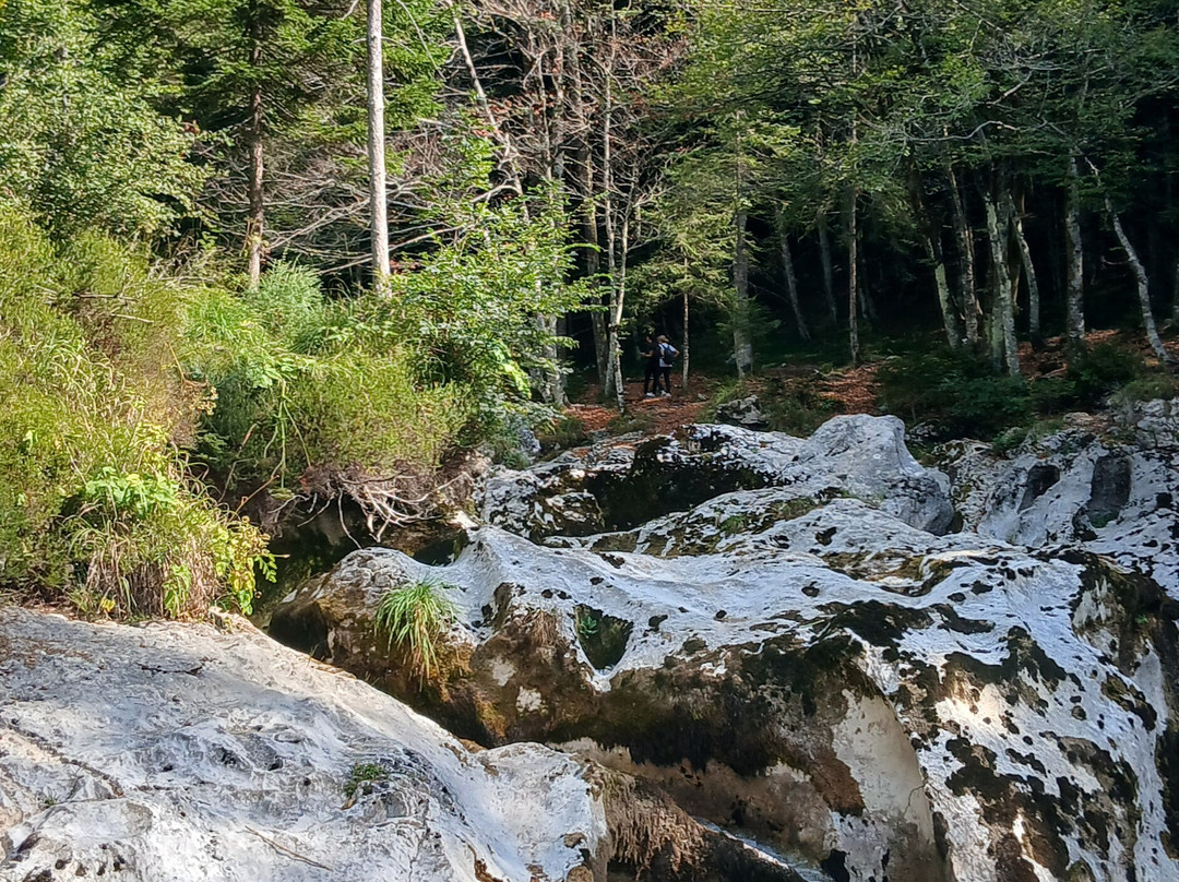 Mostnica Gorge-Stara Fuzina必去景点