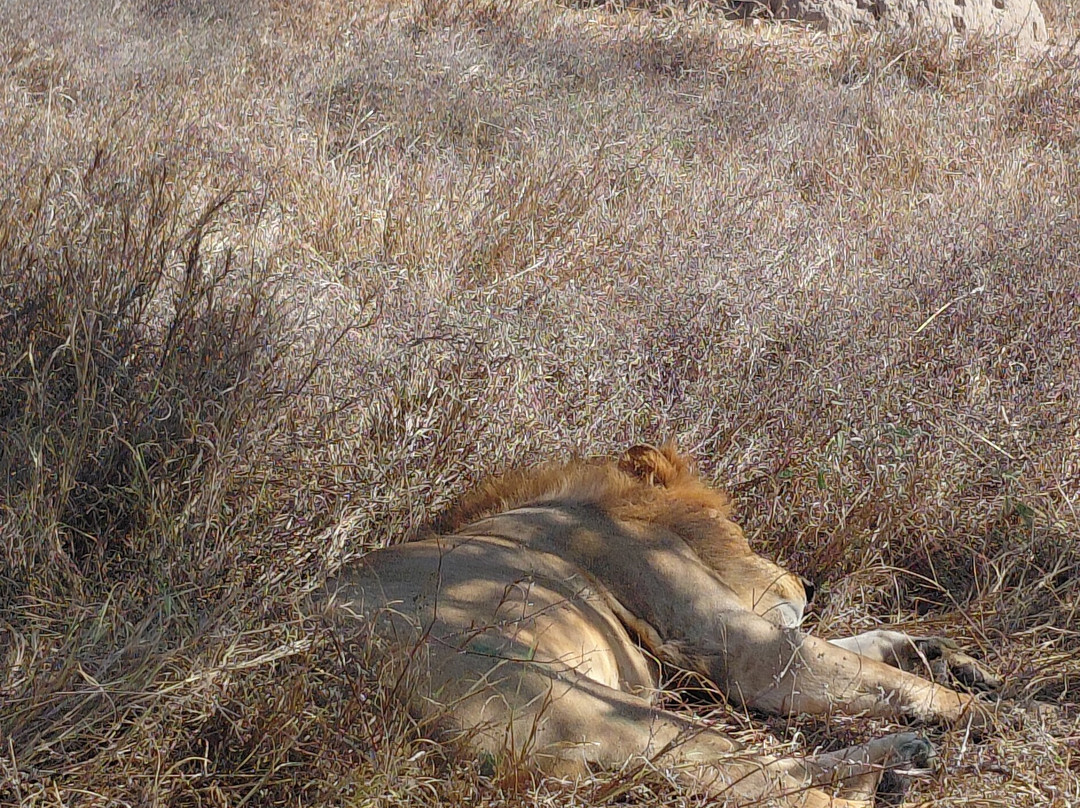 Taita Hills Wildlife Sanctuary-西察沃国家公园必去景点