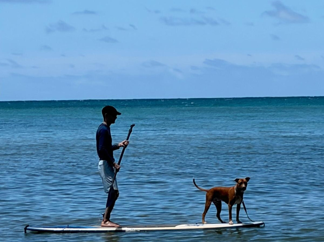 N.S.O.G. North Shore Ocean Guides-卡胡库必去景点