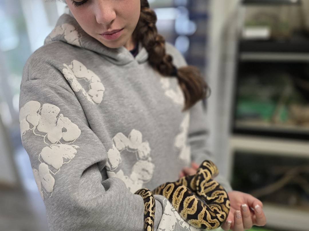 Djl Exotics-Frinton-On-Sea必去景点