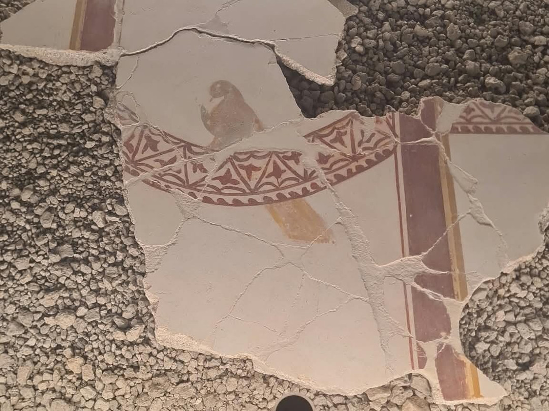 MAR - Museo Archeologico Romano Positano-波西塔诺必去景点