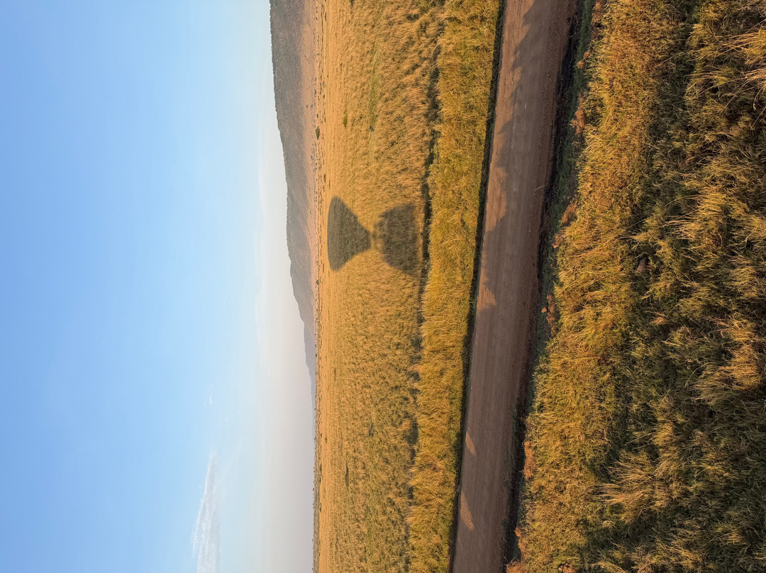 Skyship Co. Balloon Safaris-马赛马拉国家野生动物保护区必去景点