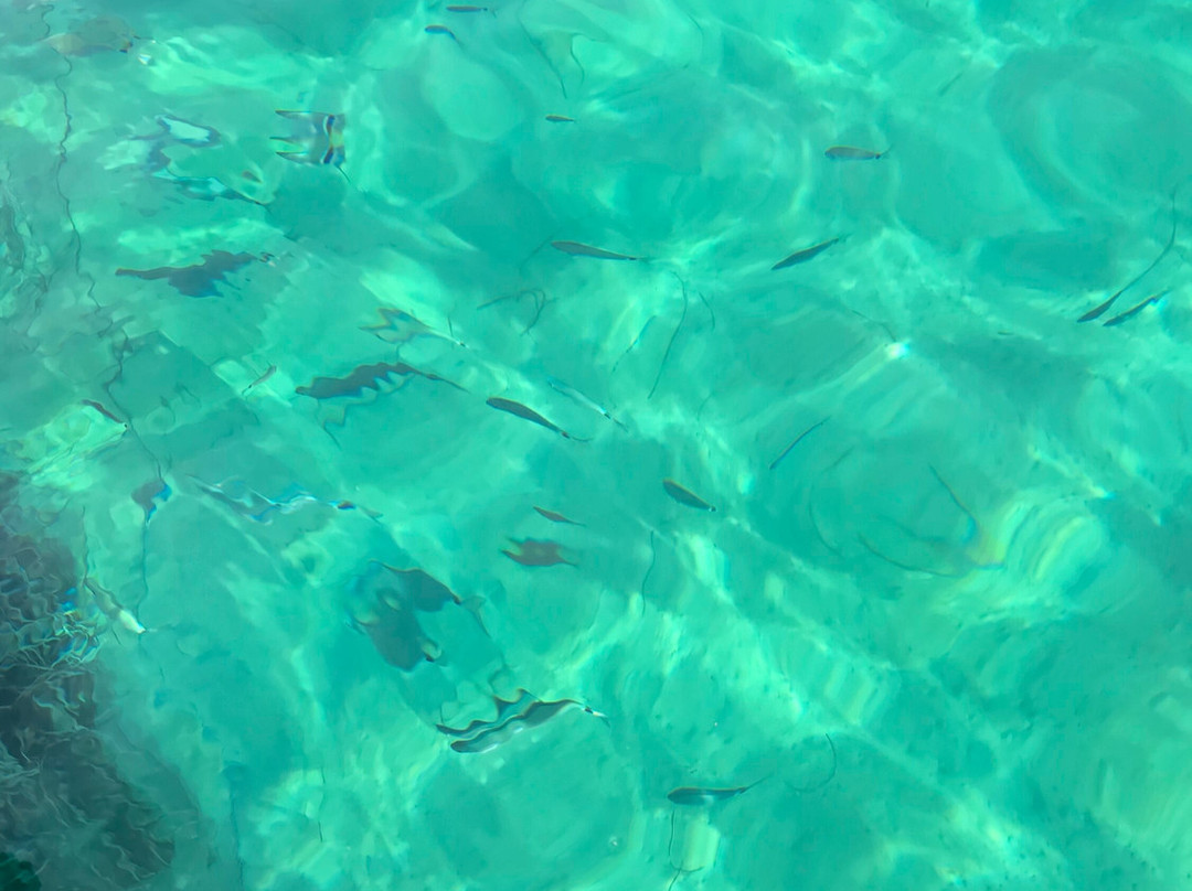 L'escapade En Mer-Carqueiranne必去景点