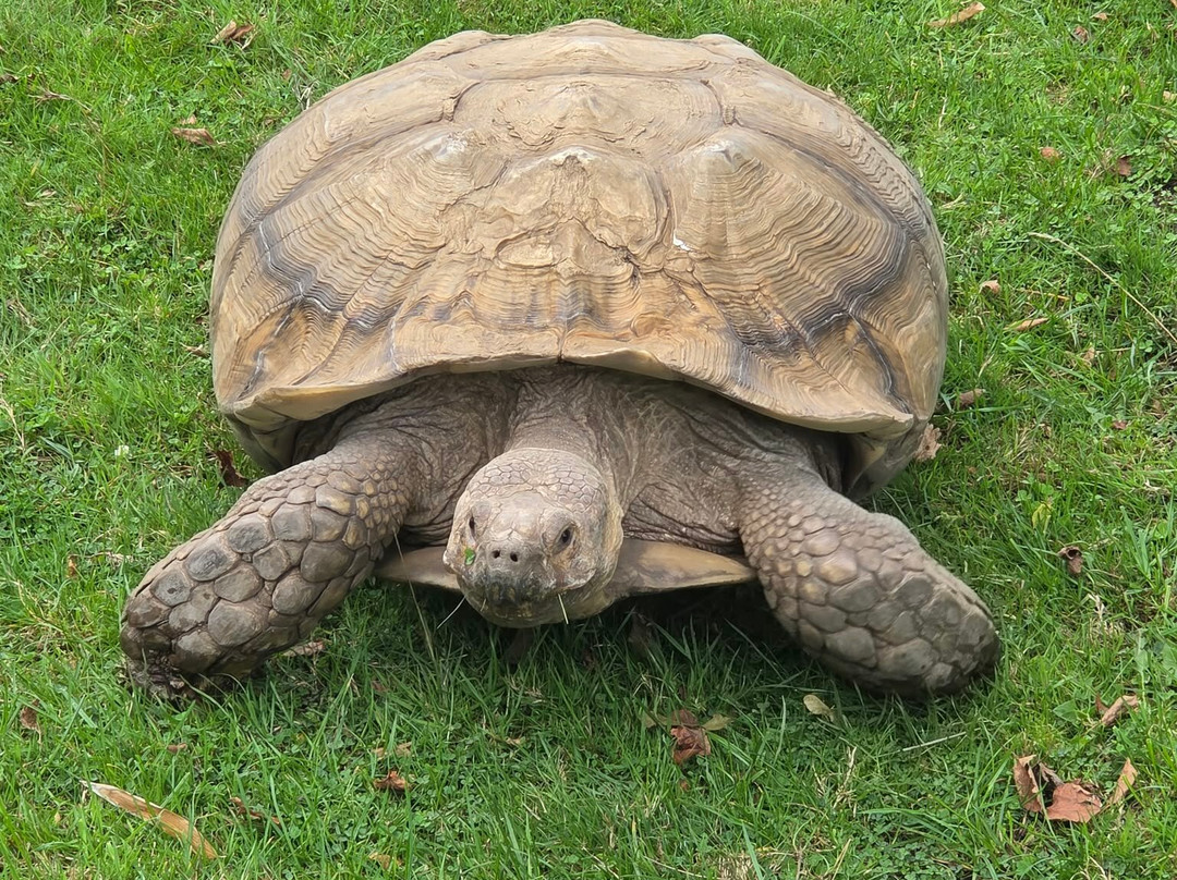 Peak Wildlife Park-Winkhill必去景点