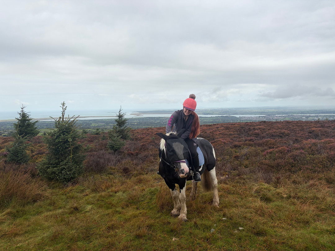 Snowdonia Riding Stables-卡那封必去景点