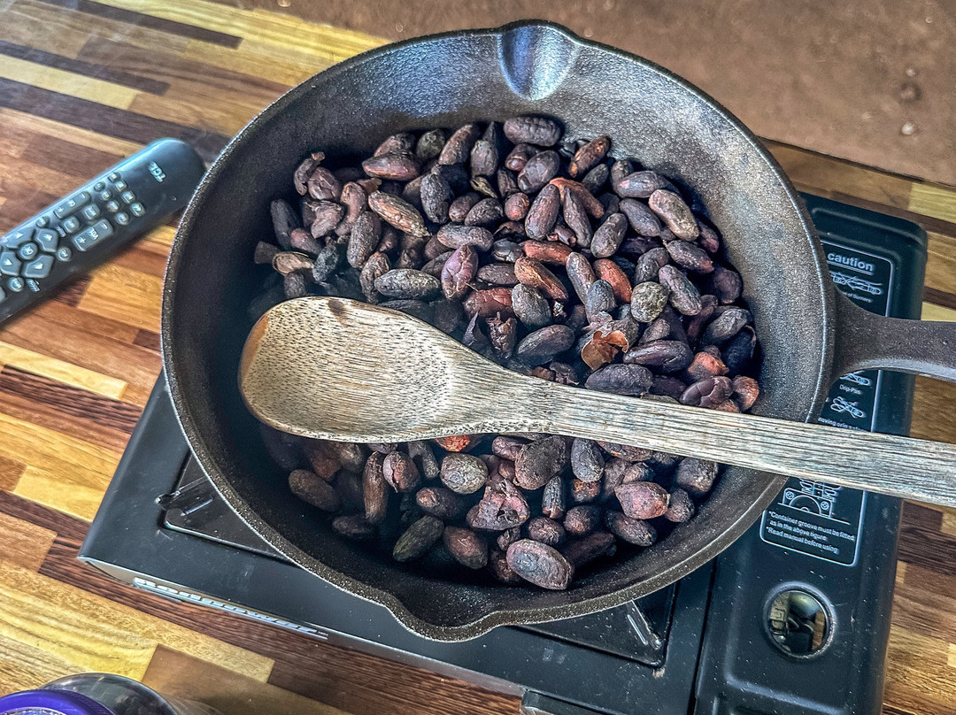 Tree Chocolate Tour-Upala必去景点