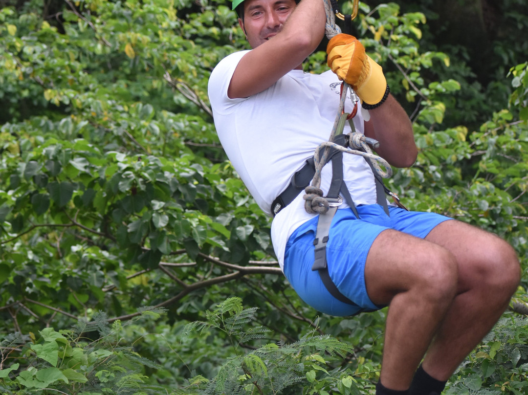 Antigua Rainforest Canopy Tour-安提瓜必去景点