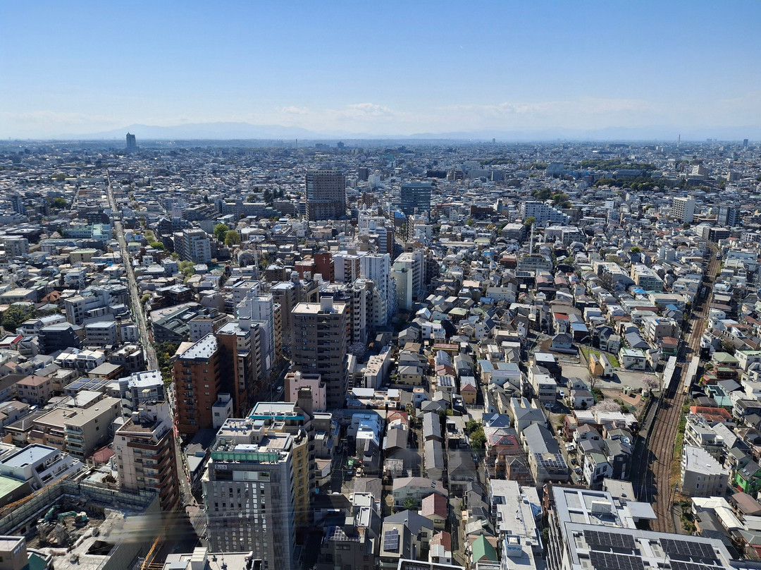 胡萝卜塔-世田谷区必去景点