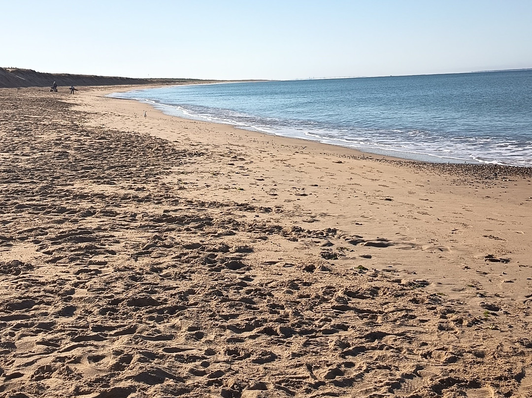 Plage des Belugas-La Faute sur Mer必去景点
