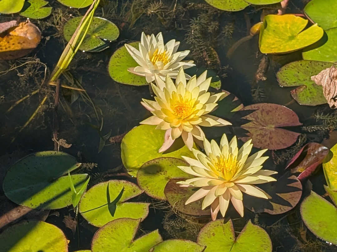 Les Jardins D'eau-Carsac-Aillac必去景点