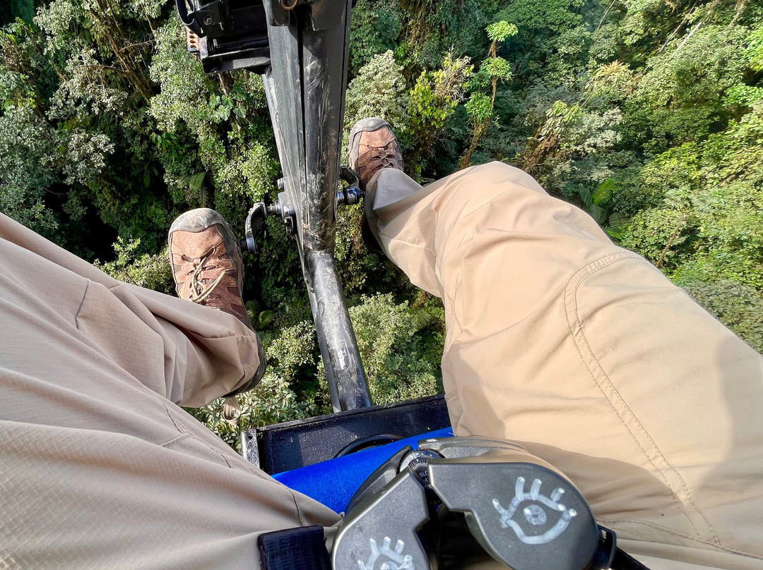 玛萨皮山林小屋主图