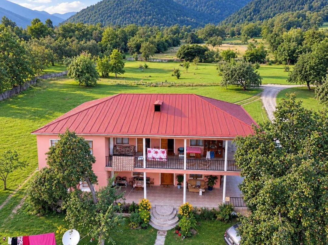 Guesthouse Of Nenskra