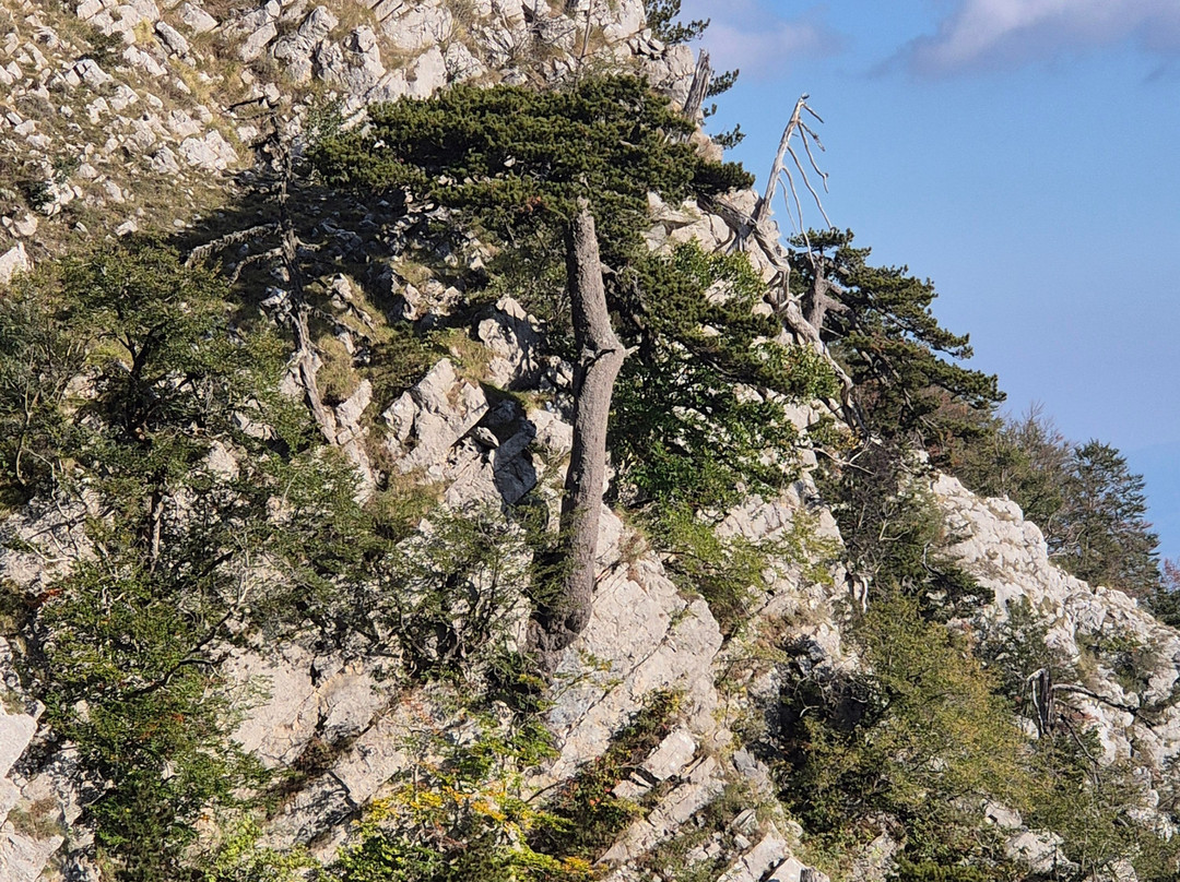 Pollino UNESCO Global Geopark-Rotonda必去景点