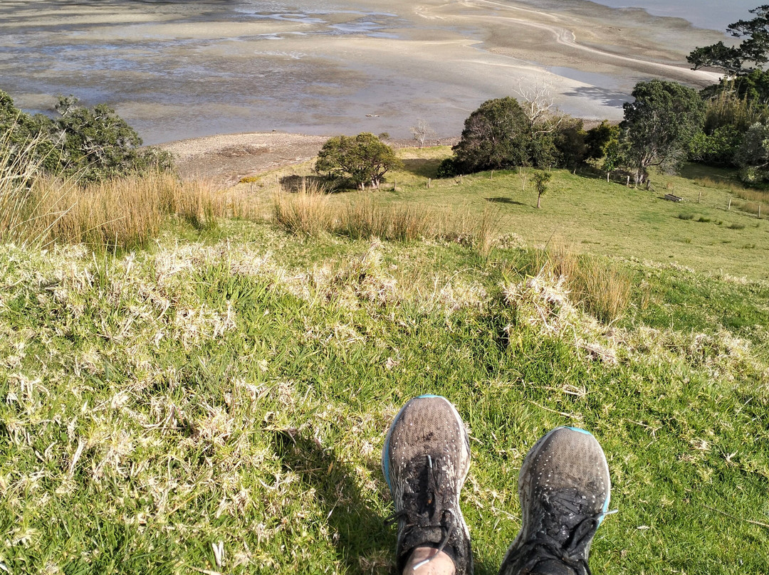 Motukiore Island-Whangarei Heads必去景点