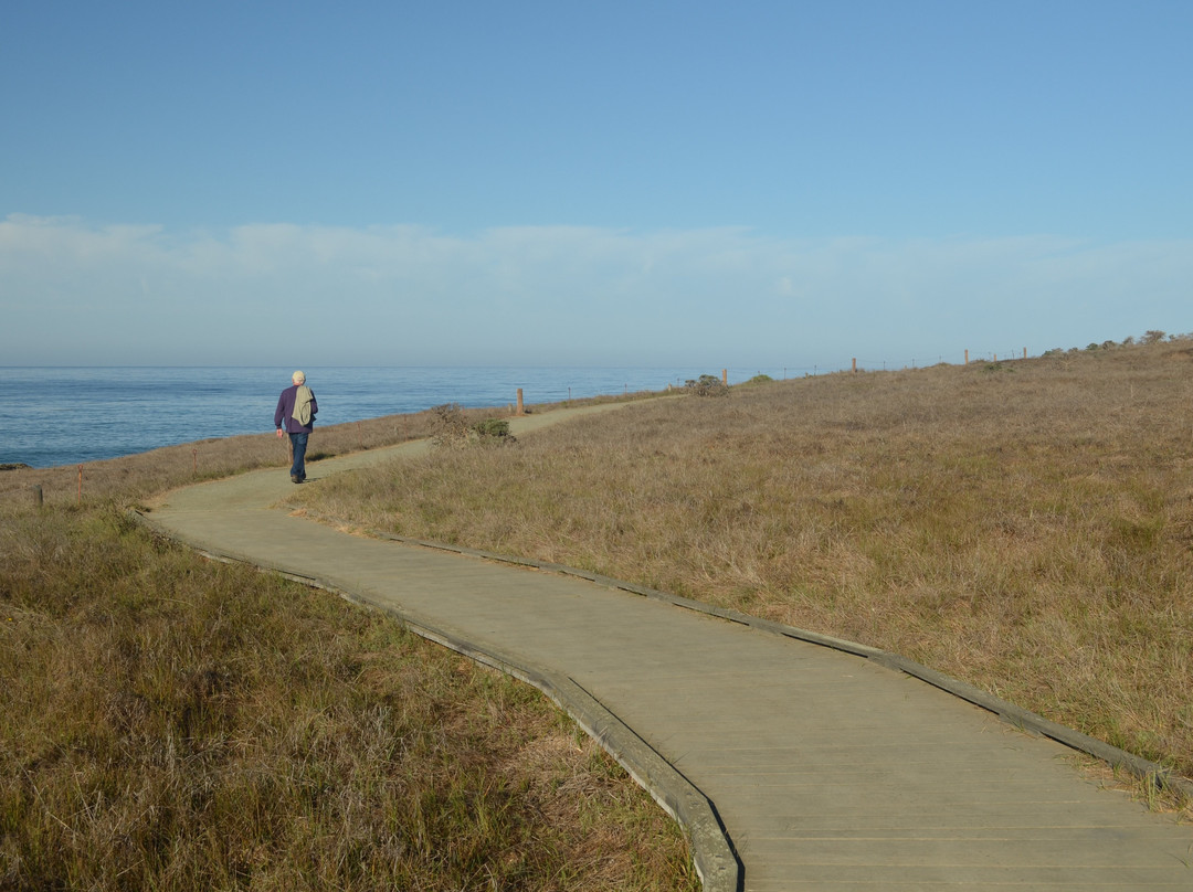 Fiscalini Ranch Preserve-坎布里亚必去景点
