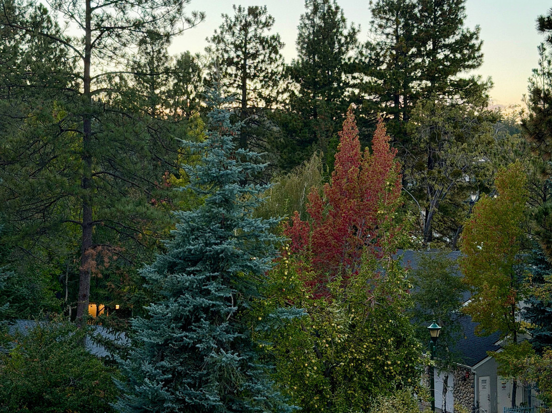 Crestline酒店住宿-Lake Arrowhead Resort and Spa