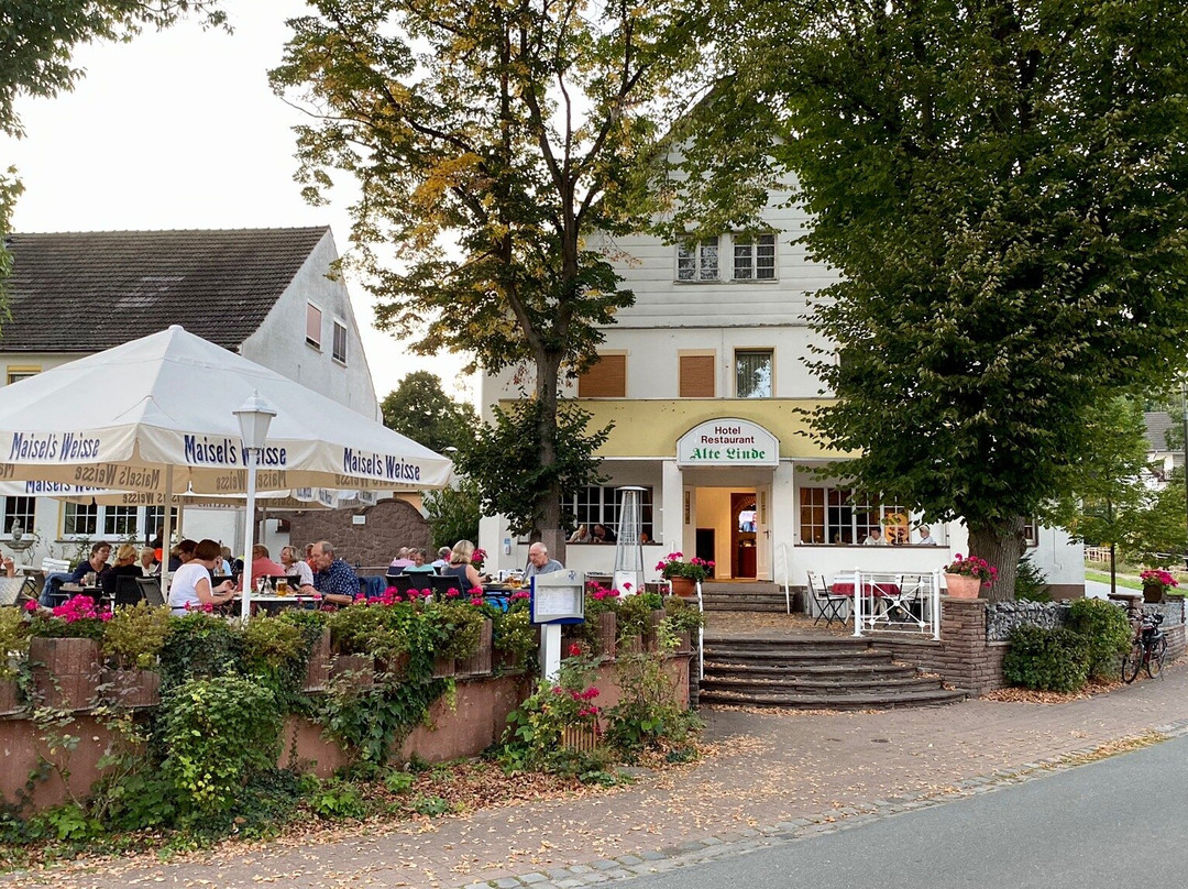Trendelburg酒店住宿-Landhotel Alte Linde