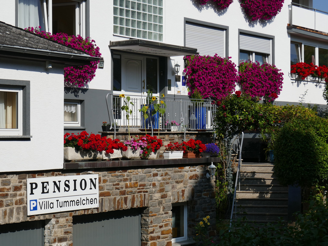 Villa Tummelchen Hotel Pension