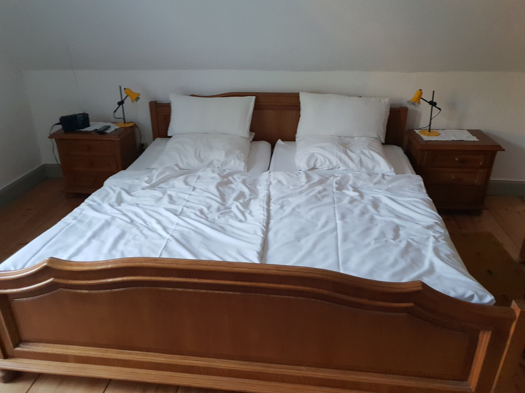 Hotel Villa Feise主图