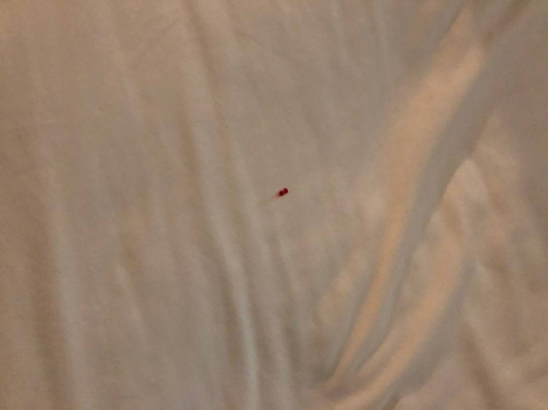 Holiday Inn Express & Suites Chaffee-jacksonville West By IHG主图