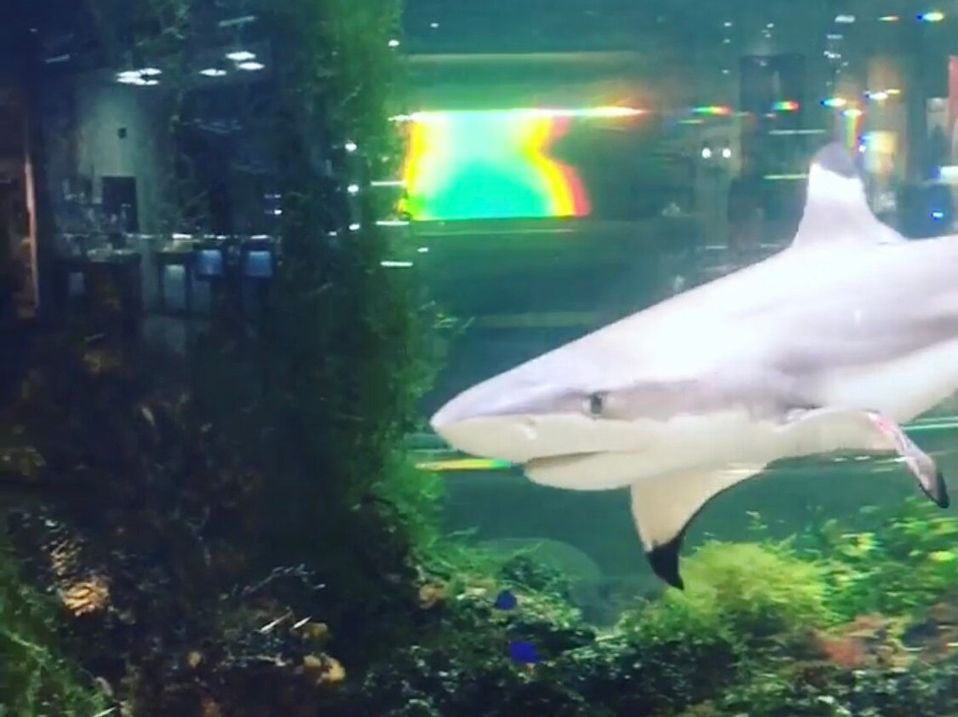 Mall Rubin-特维尔必去景点