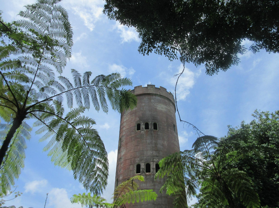 Yokahú Observation Tower景点图片