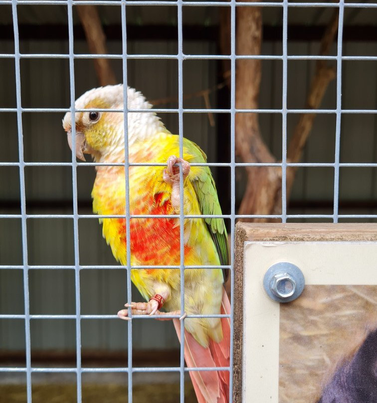 Bouillon Wildlife Park景点图片