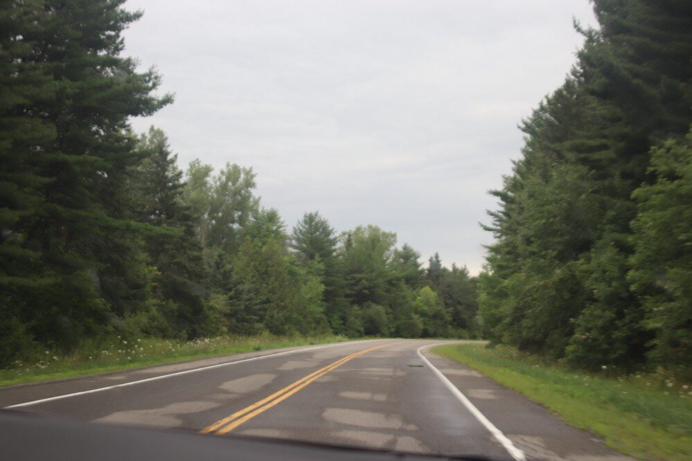 Warwick Forest Trail Conservation Area景点图片