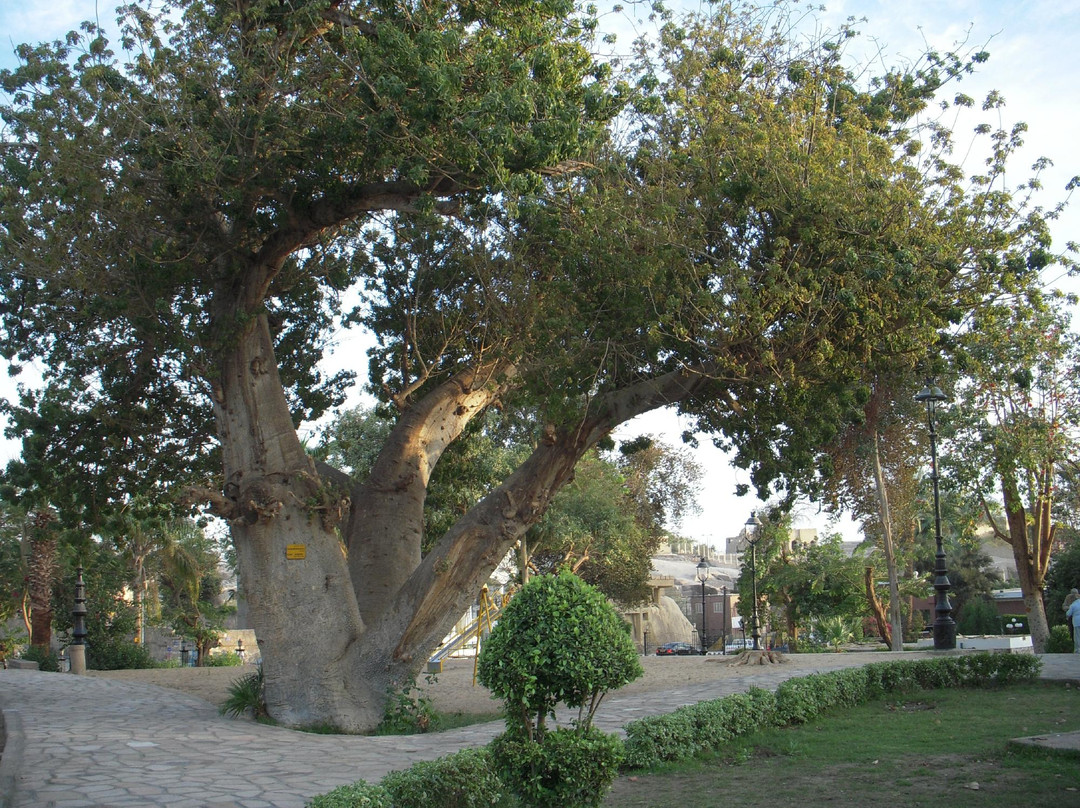 Feryal Garden景点图片