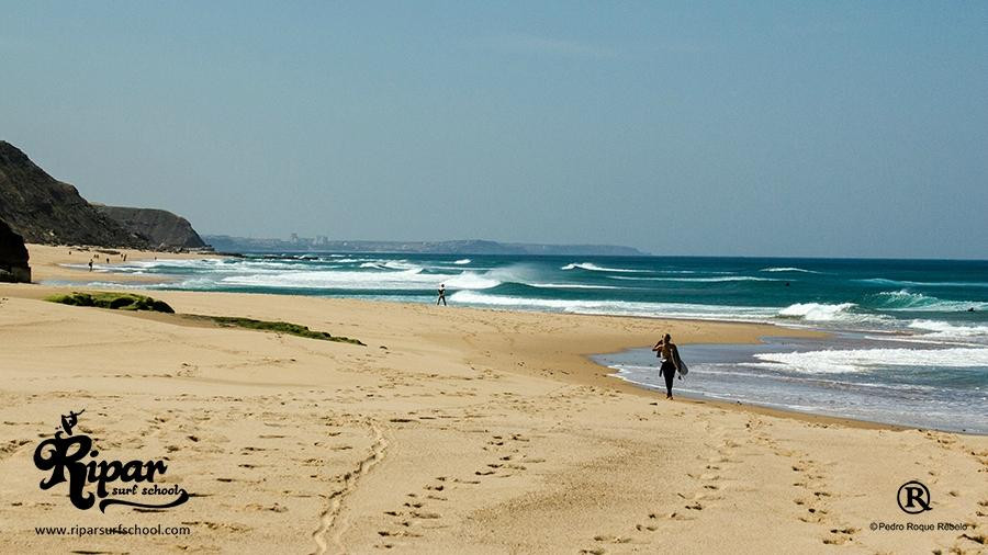 Ripar Surf School & Camp景点图片