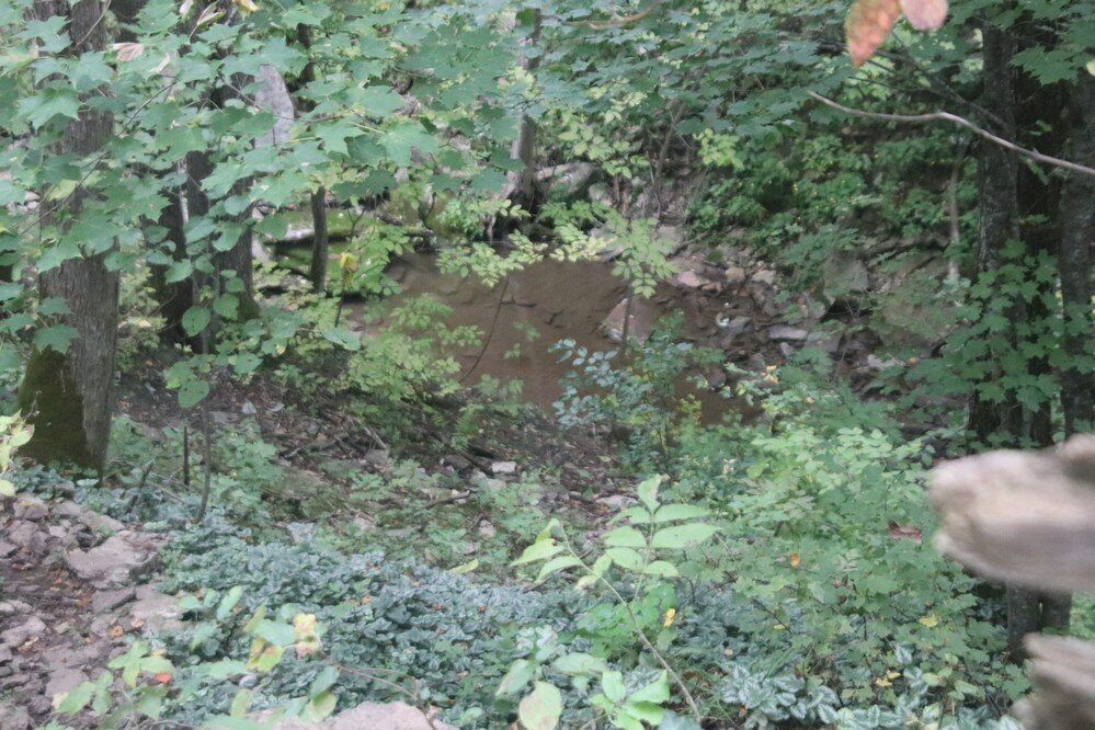 Webwood Falls Nature Reserve景点图片