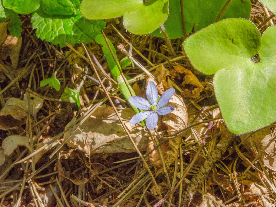 Kajasowka-Czernichow必去景点