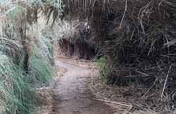 Enot Tsukim Nature Reserve - Ein Feshkha-Dead Sea Region必去景点
