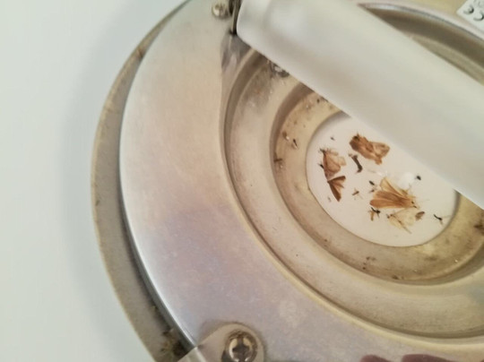 Hotel & Restaurant Nordstern主图