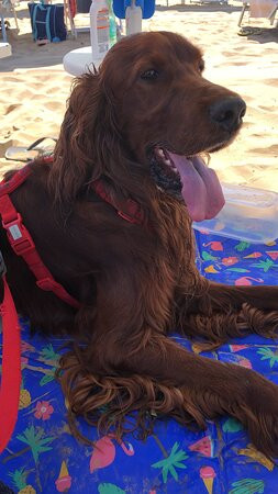 Villaggio Sabbiadoro主图