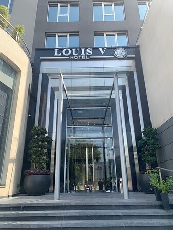 Louis V Hotel主图
