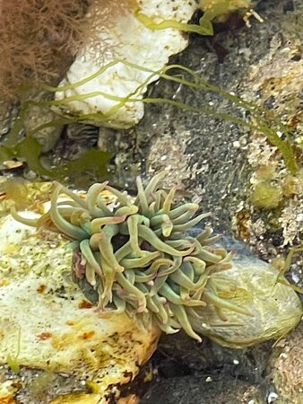 The Rock Pool Project-法尔茅斯必去景点