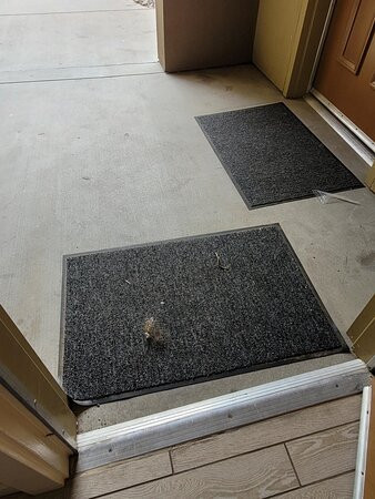 沙漠泉万豪别墅酒店主图