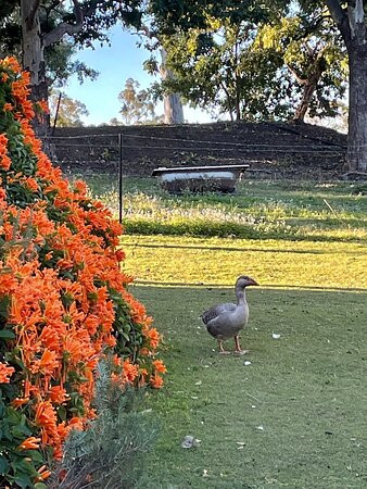 湖袋食宿酒店主图