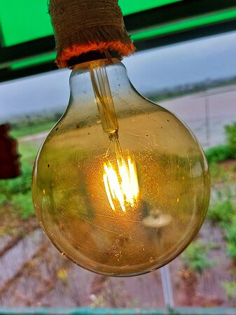 The Herb Farm By Curry Leaves主图