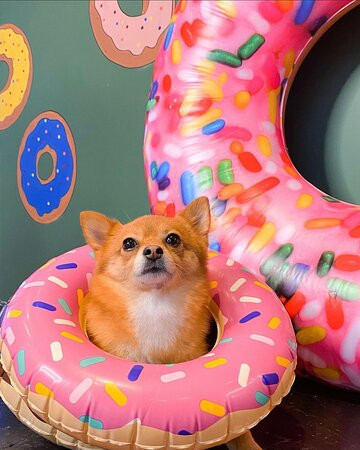 Prien Lake Mall-莱克查尔斯必去景点